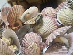 -正宗天津烧麦馆(柳州路店)