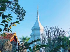 -西双版纳傣族园