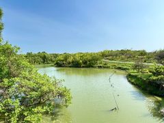 -上海海湾国家森林公园