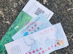 -北海金海湾红树林生态旅游区