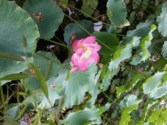 android_upload_pic-宝泉胜境旅游度假区