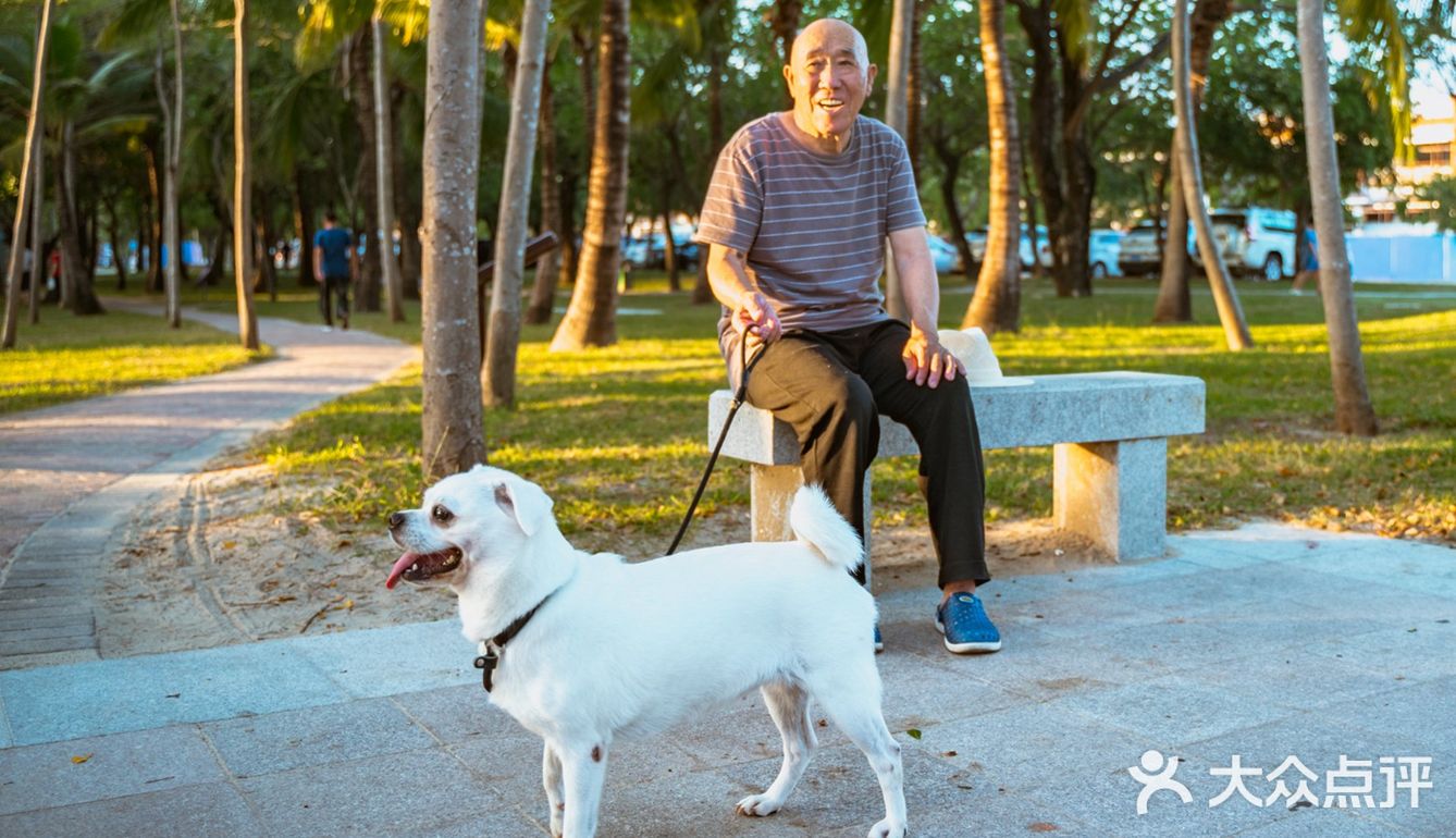 【旅行攻略】在椰梦长廊看最美的夕阳