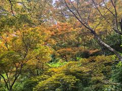 -雁荡山风景名胜区