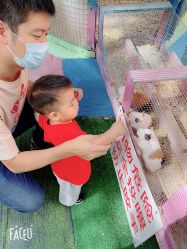 -萌宠亲子动物乐园(槐房万达店)