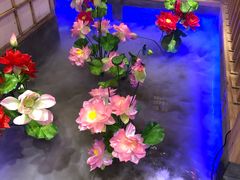-九田家黑牛烤肉料理(郫都万达檬柏西路店)