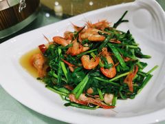 -善银私房菜馆(金舟花园小区店)