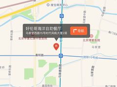 -好伦哥比萨烤肉自助(马家堡店)
