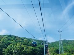-普陀山风景区-佛顶山