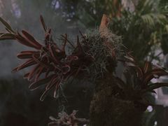 -杭州平安悦坊 PAFC LIVING