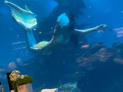 -涛·海底餐厅·美人鱼·自助餐·海底隧道(三亚海棠湾洲际度假酒店)