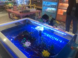 -卡通尼乐园(武汉凯德1818店)