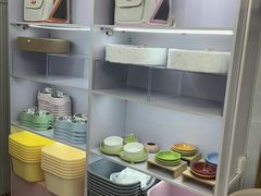 -青奢宠物·青奢猫舍