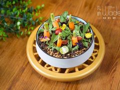 野米盆栽沙拉-瓦的音乐酒馆(象山店)