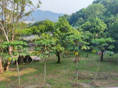 -深圳野生动物园