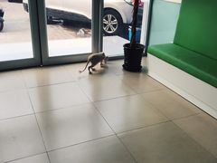 -美迦爱-牙专科·兔科·骨科诊疗中心(北苑店)
