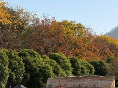 -方山风景区定林寺