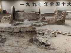 -古车博物馆