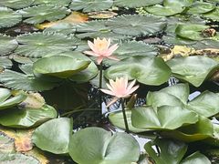 -梁园