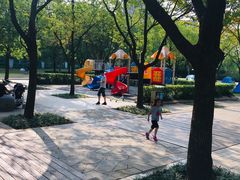-新江湾城公园