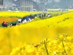 -中国天府农业博览园