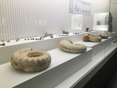-青岛贝壳博物馆