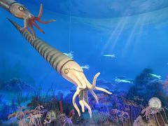 -国家自然博物馆