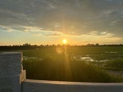 -天津东丽湖风景区