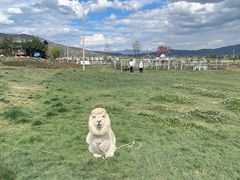 -云端彼岸马场