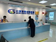 -北京观赏动物医院·24小时大型综合·猫专科·异宠专科