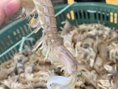 -吕四渔港码头海鲜餐厅