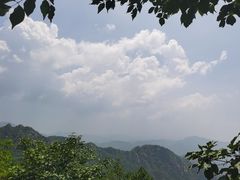 -大岭沟猕猴桃谷风景区