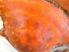 -老渔民·北塘海鲜(新港远洋宾馆店)