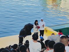 -秦皇岛乐岛海洋王国