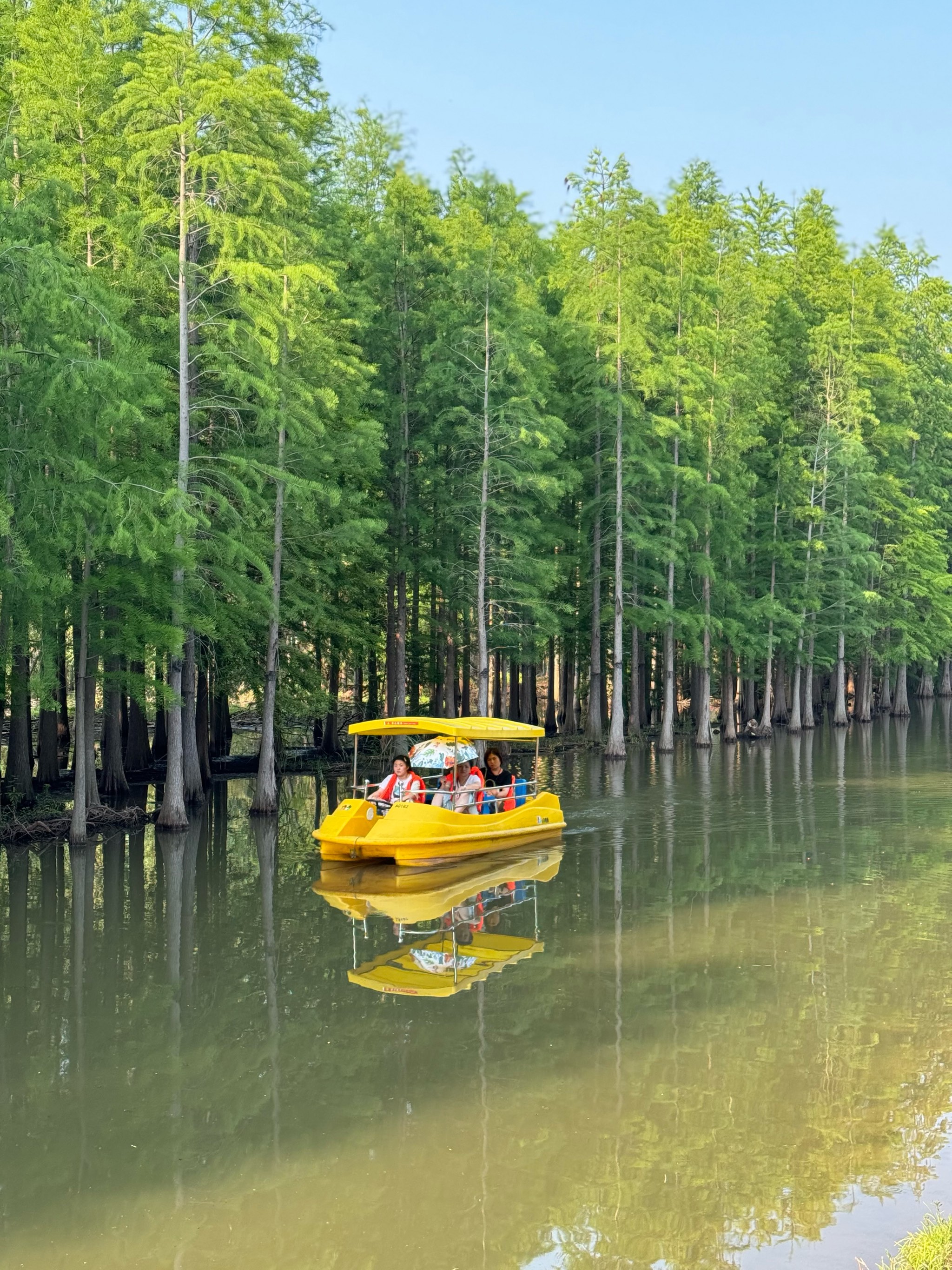 治愈系不用出上海 来崇明岛西沙明珠湖景区