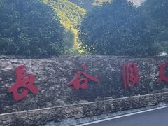 -长谷洞天