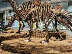 -自贡恐龙博物馆