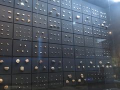-北京周口店北京人遗址博物馆
