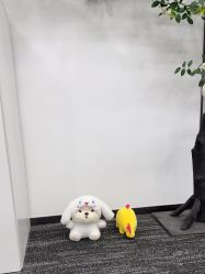-ANRI安里·专业男士脱毛连锁