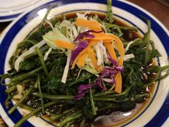 辣炒空心菜-茉莉.Red Crab