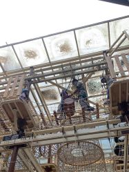 -PIPIKINGDOM皮皮王国欢乐号(欢乐海岸购物中心店)