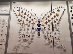-四川大学博物馆