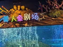 -太奥幻太奇海洋馆