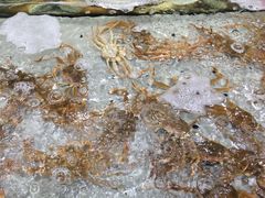 -渔傅·蓝海岸霞浦海鲜(正祥店)