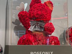 -ROSEONLY诺誓(广州K11店)