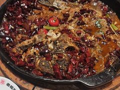 -老板恋上鱼(恒隆广场店)