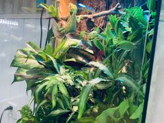 -Rabbit Cafe私房西餐甜点咖啡(栖霞路店)