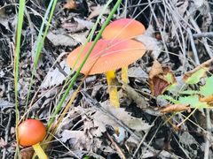 -丹东市五龙山风景区