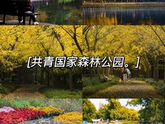 -东平国家森林公园