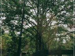 -浙江医院(灵隐院区)