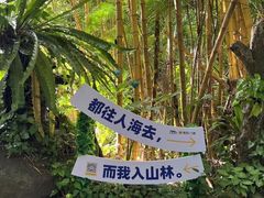 -呀诺达热带雨林
